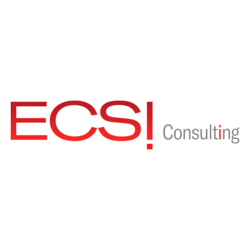 ECSI Consulting - Innov8rs